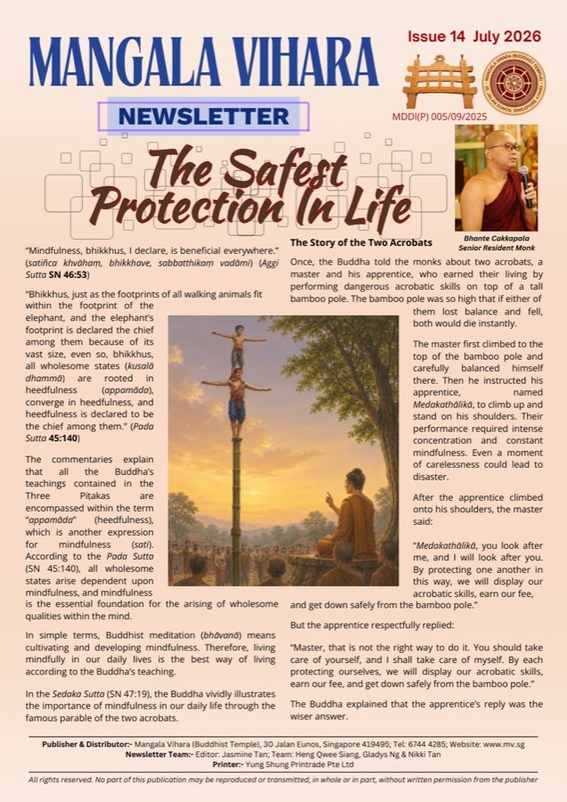 Read Issue 14 of MV Newsletter online